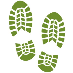 Custom Footwear Icon